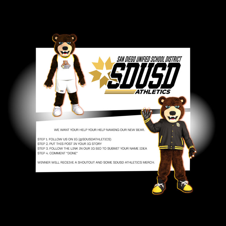 BEAR SUBMISSION FLYER