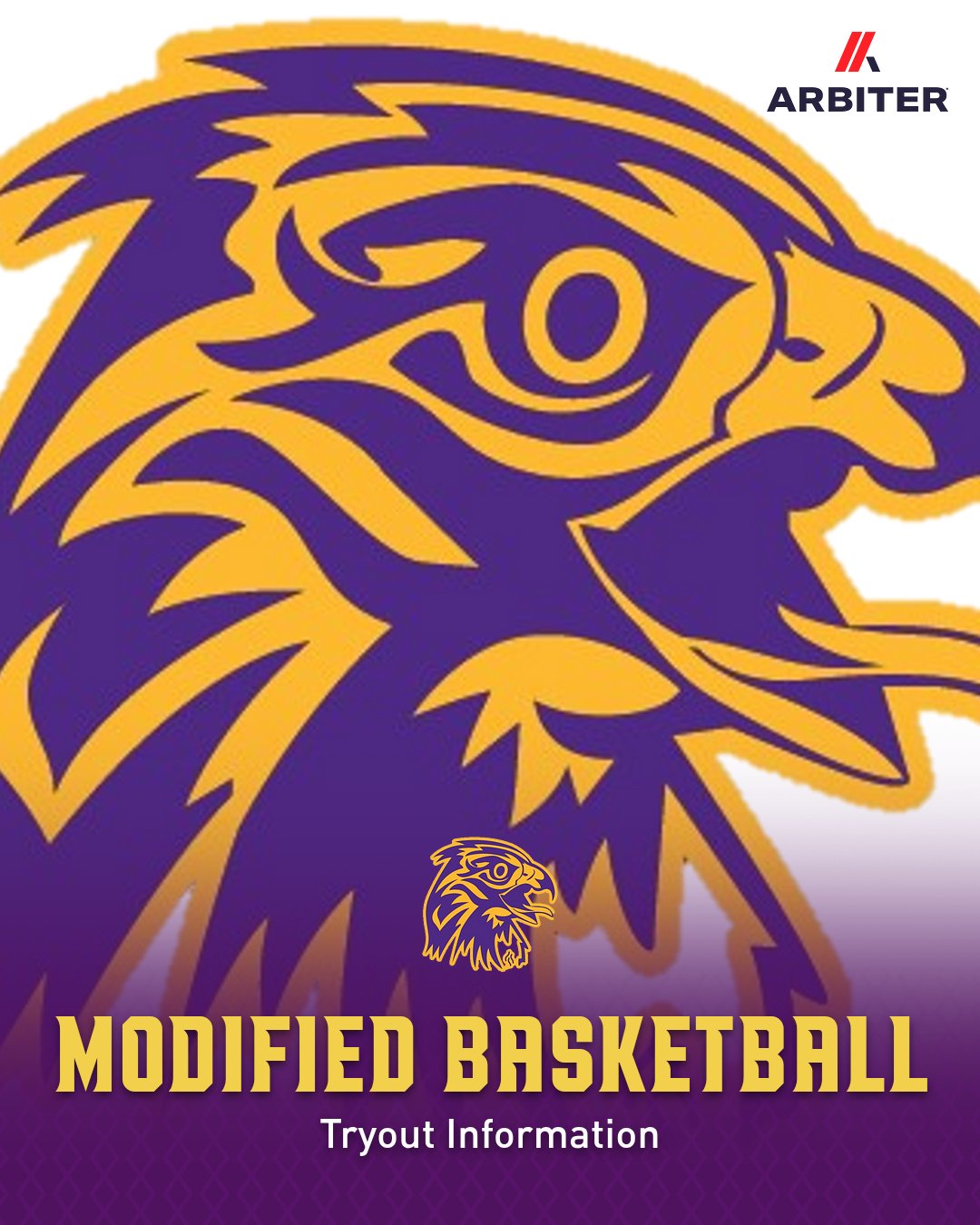 Modified Basketball Tryout Information