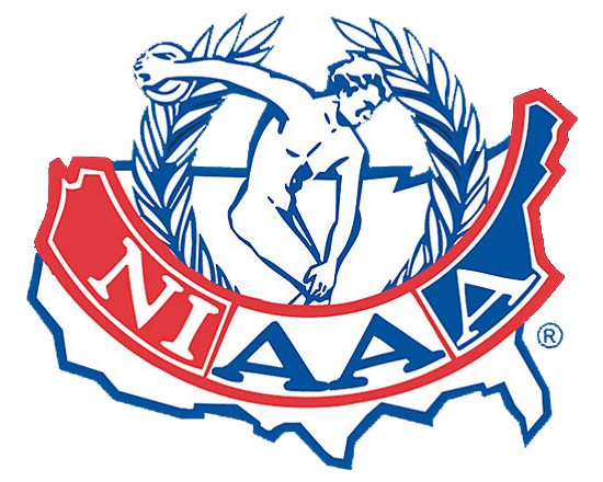 logo niaaa