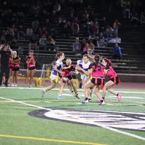 Powder Puff