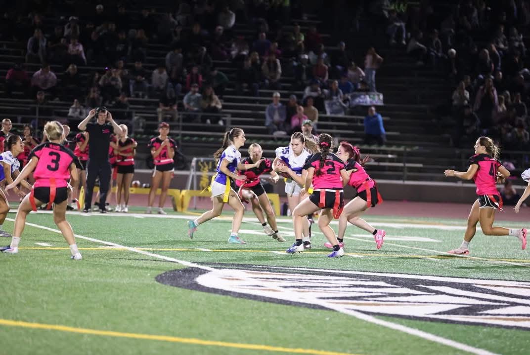 Powder Puff