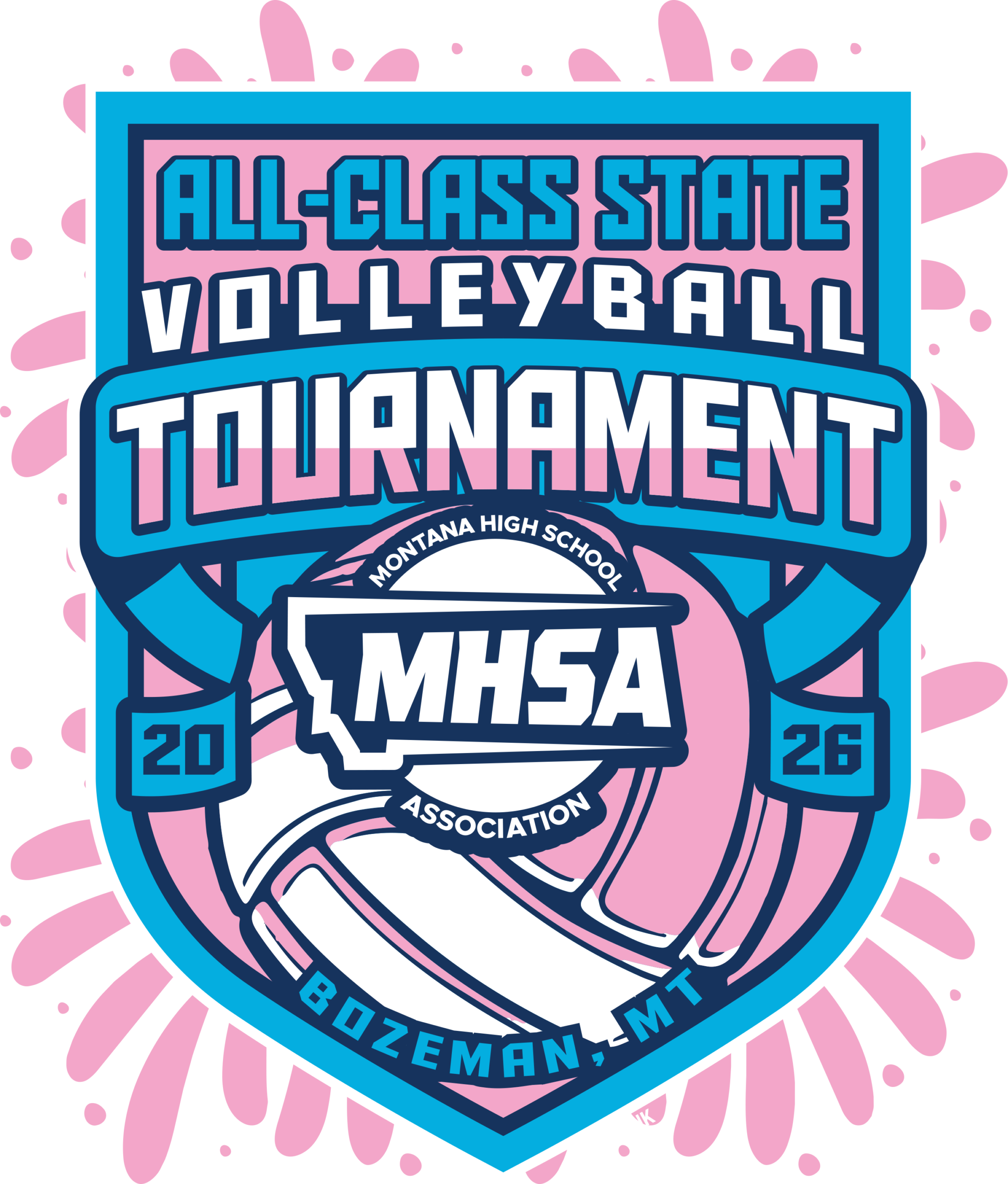 2026 State Volleyball