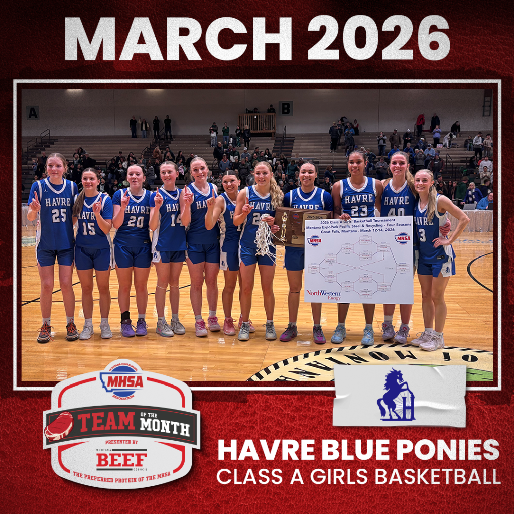 A_Havre Blue Ponies