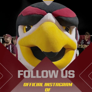 Follow us