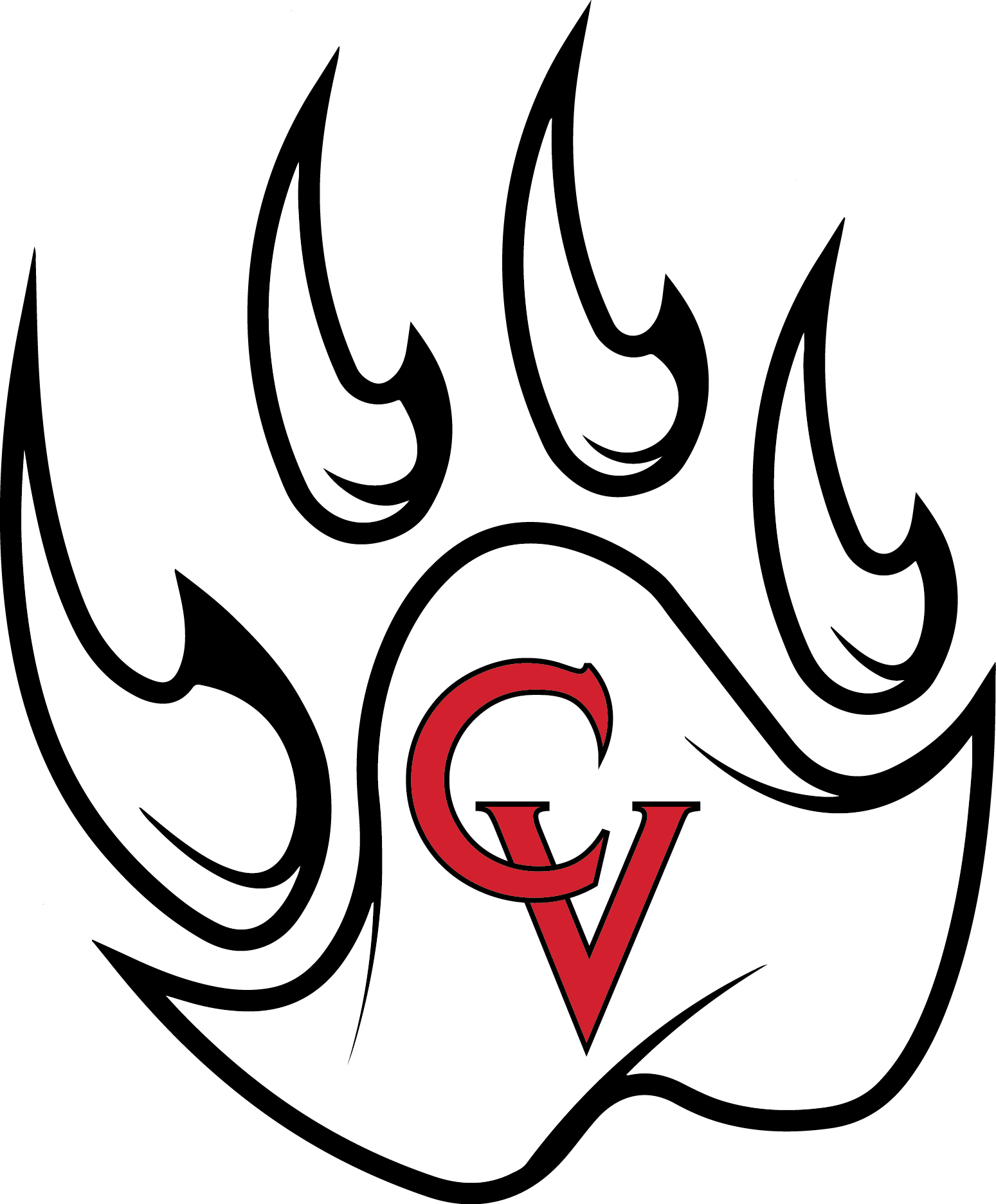 castleviewathletics avatar