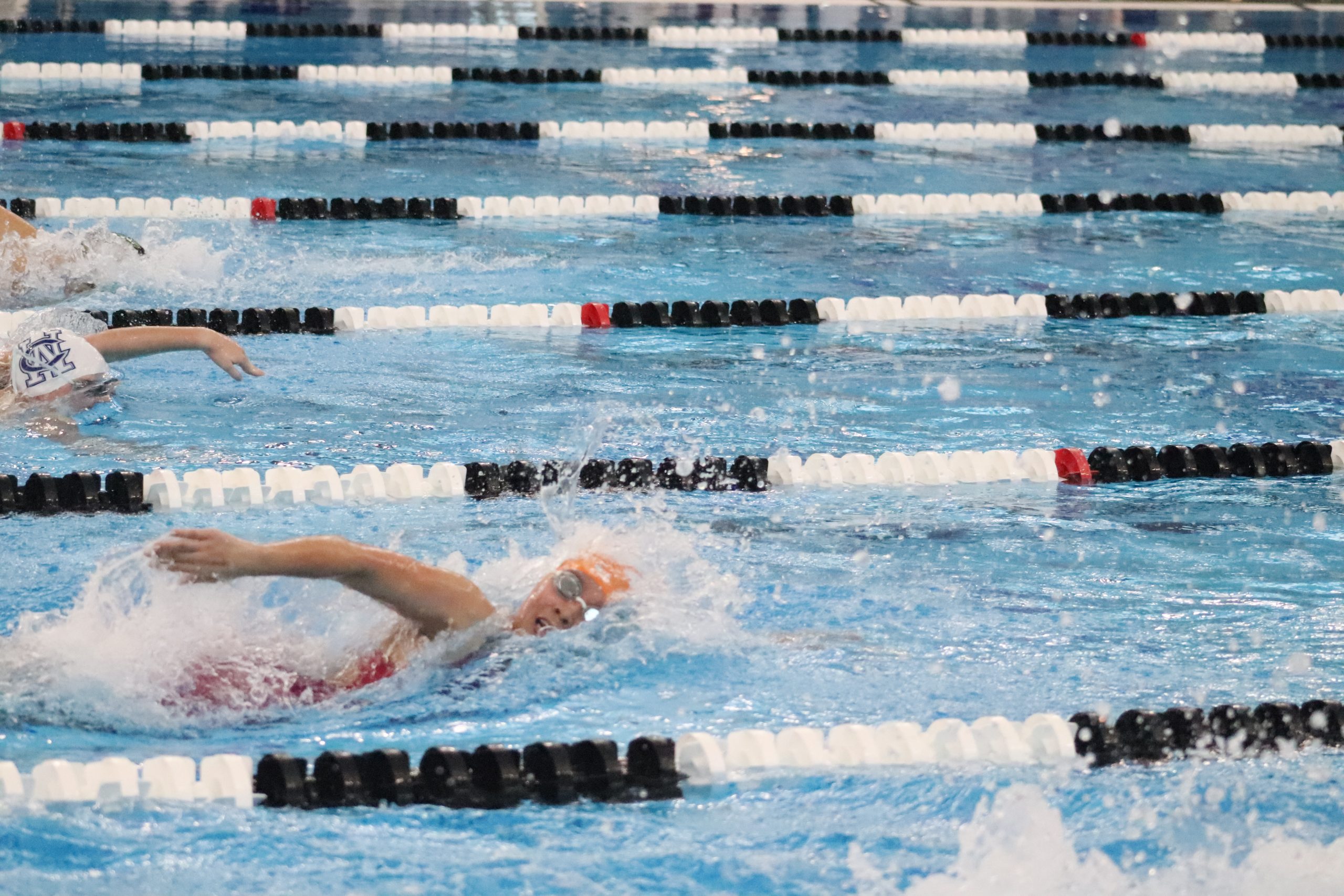 Renee Tan IHSA Swimming