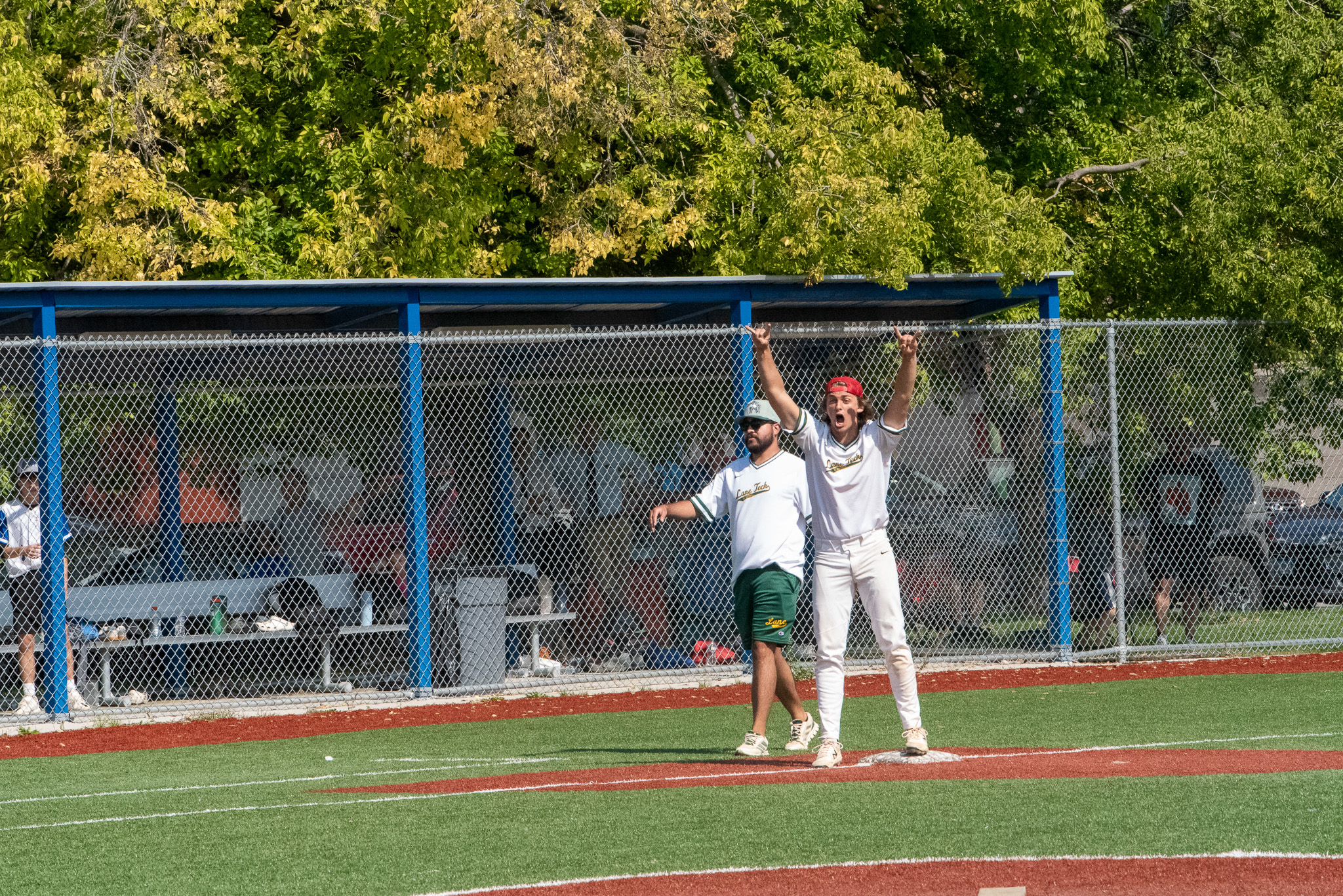 Northside Baseball Win 3' X 5' Flag Chicago Flag 