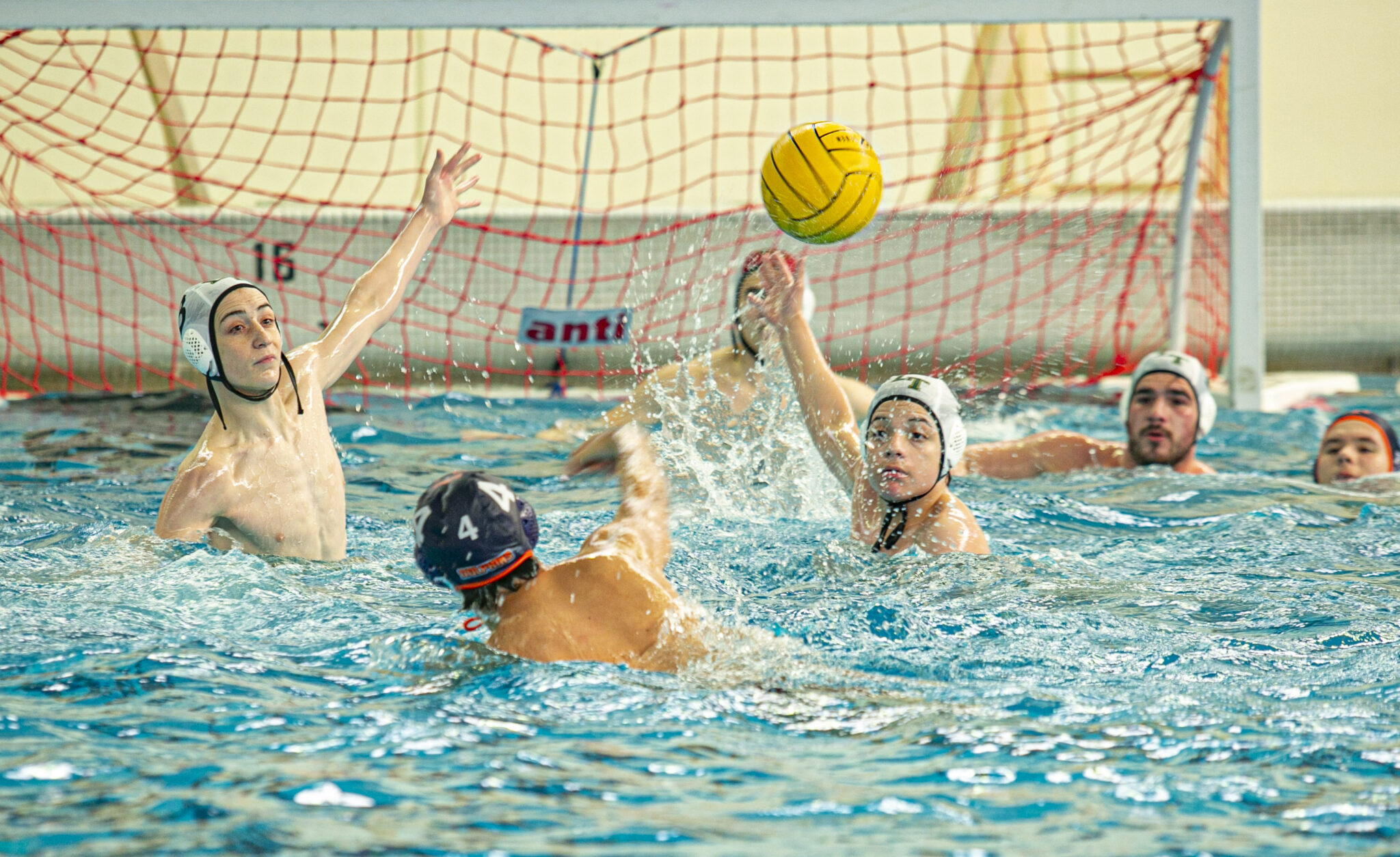 Dolphins back on top after win in boys water polo city championship ...