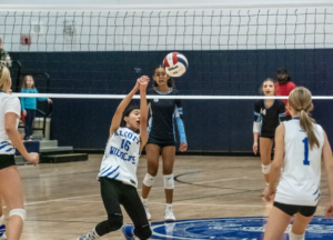 SCORE! Volleyball