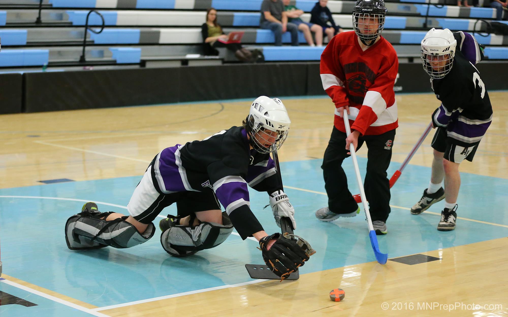 Gallery Adapted Floor Hockey Minnesota Adapted Athletics Association