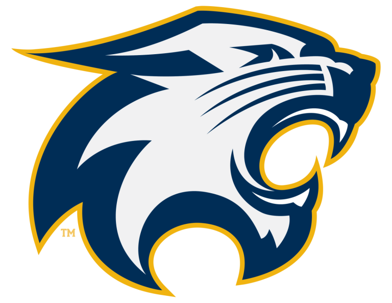 River Falls Wildcats Logo