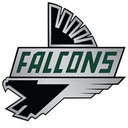 Falcon Logo