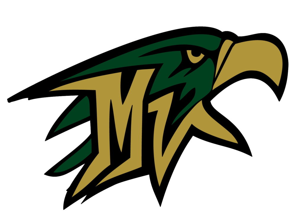 MountainVistaEagle-01 copy2