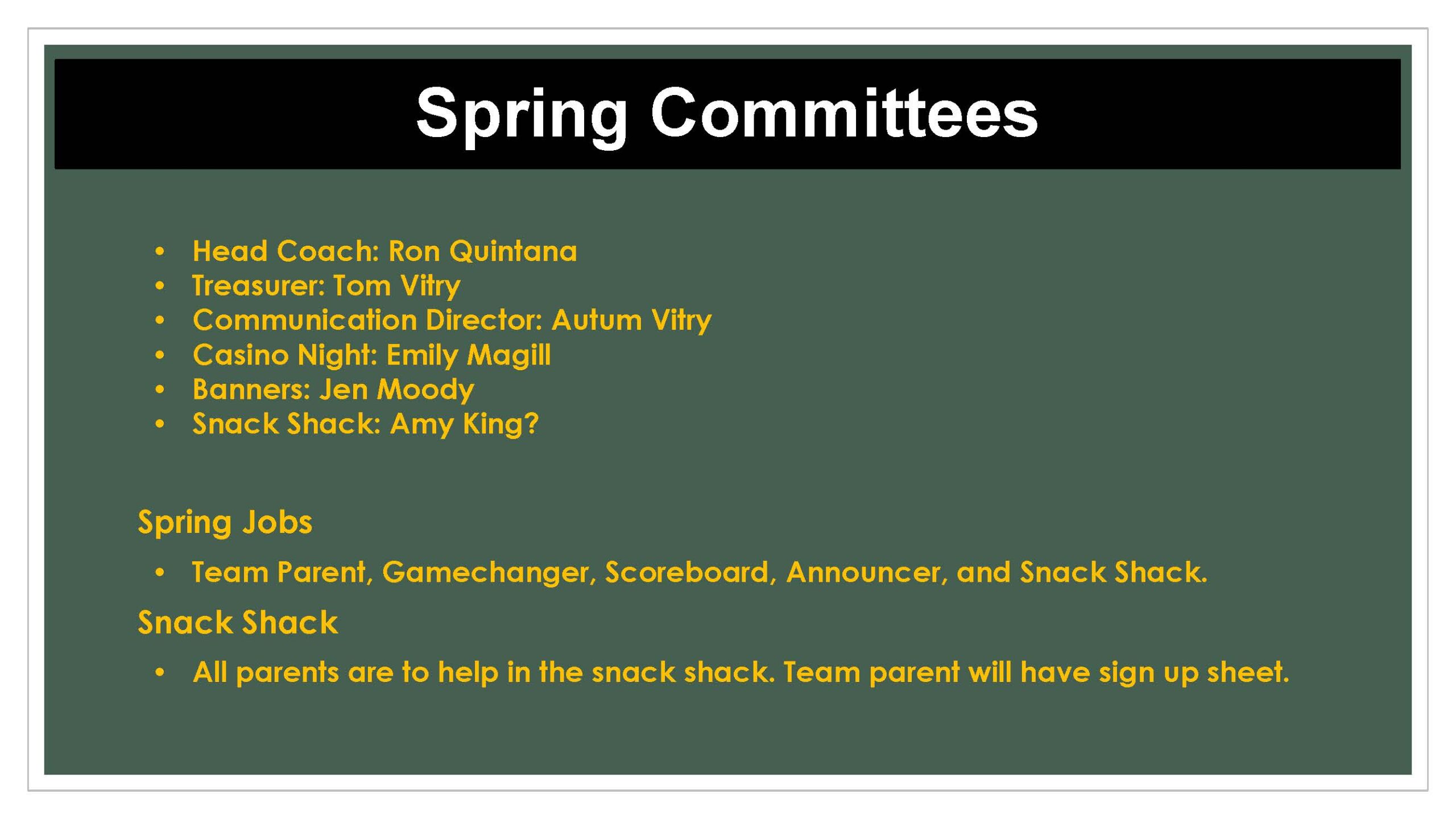 Spring Committees