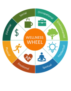 Wellness Wheel Model