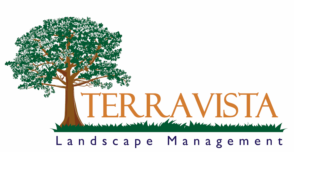 Terravista Landscape Managment