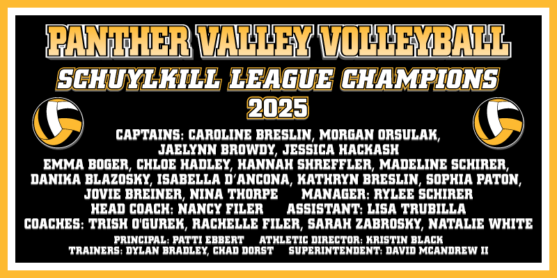 PV Volleyball