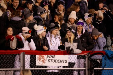 wolves sports