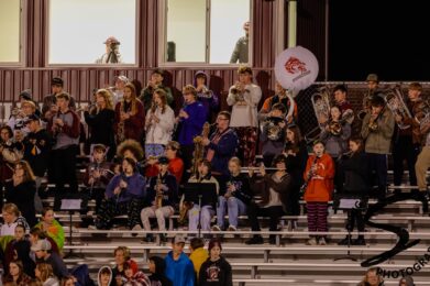 wolves sports
