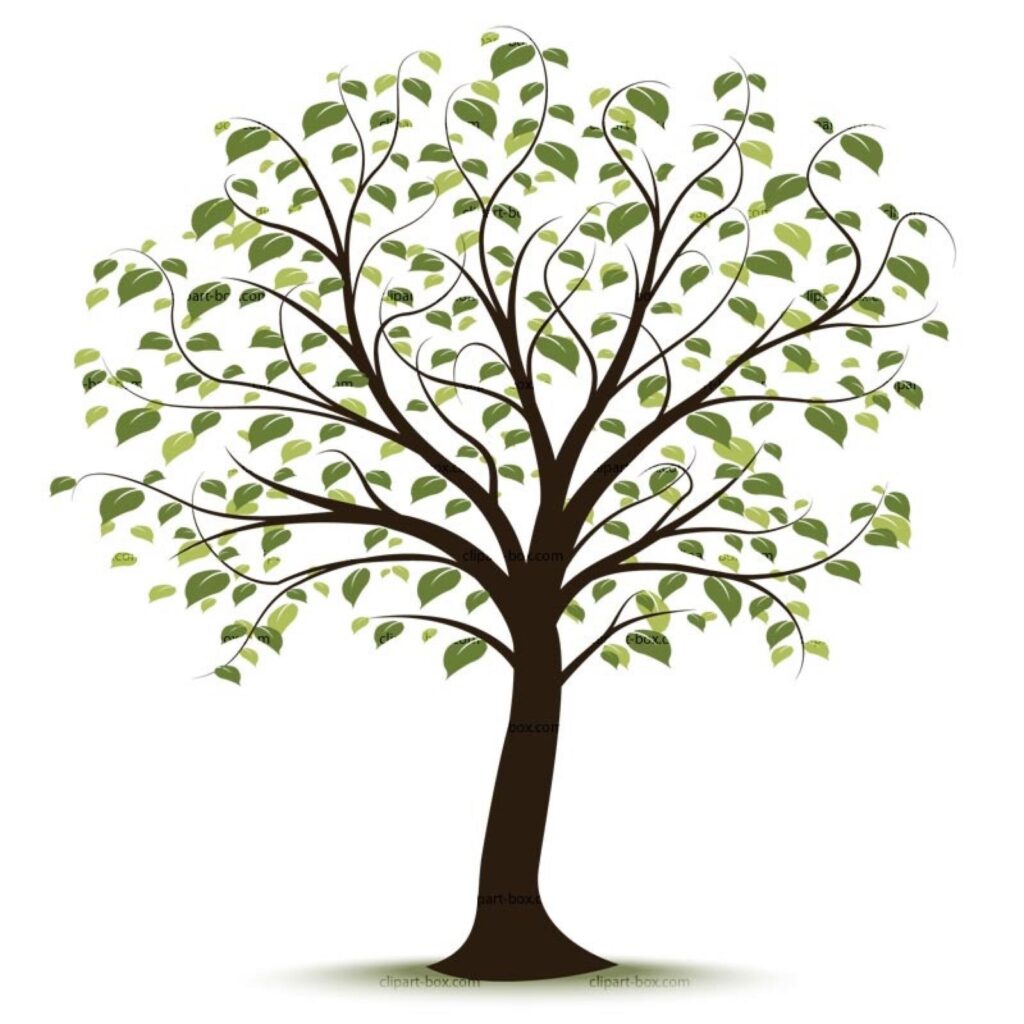 nature matters therapy counseling castle rock