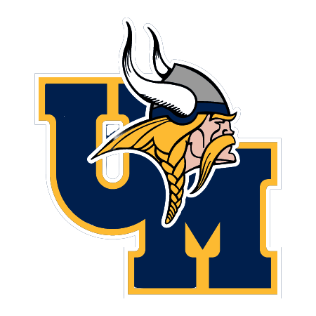 Viking Logo