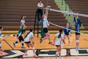 Dock VB