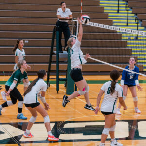 Dock VB