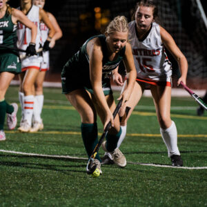 Dock FH