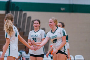 Dock VB