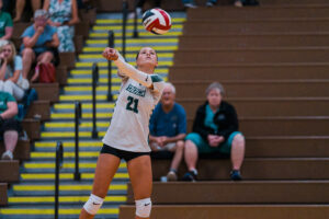 Dock VB