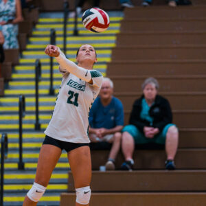 Dock VB