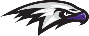Hawk Logo