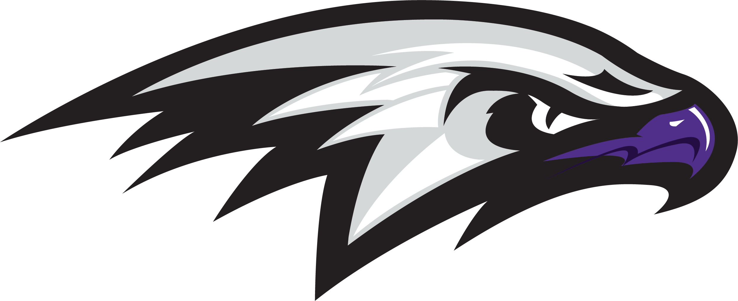 Hawk Logo