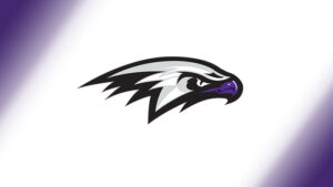 Hawks logo