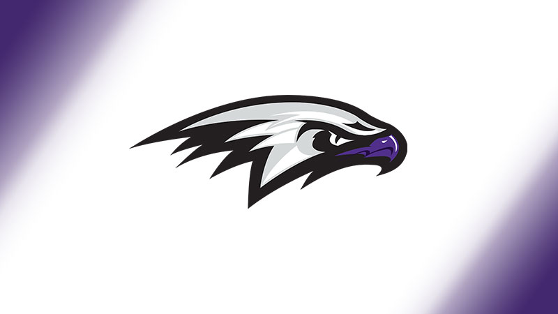 Hawks logo