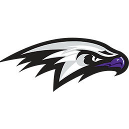 Hawk Logo