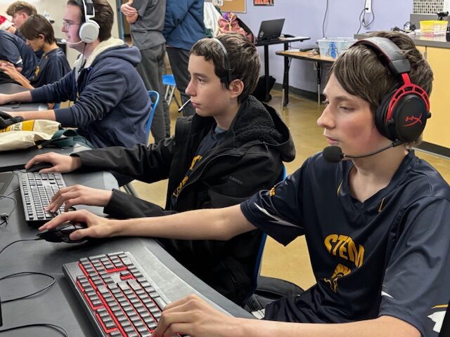 eSports Playoff competition