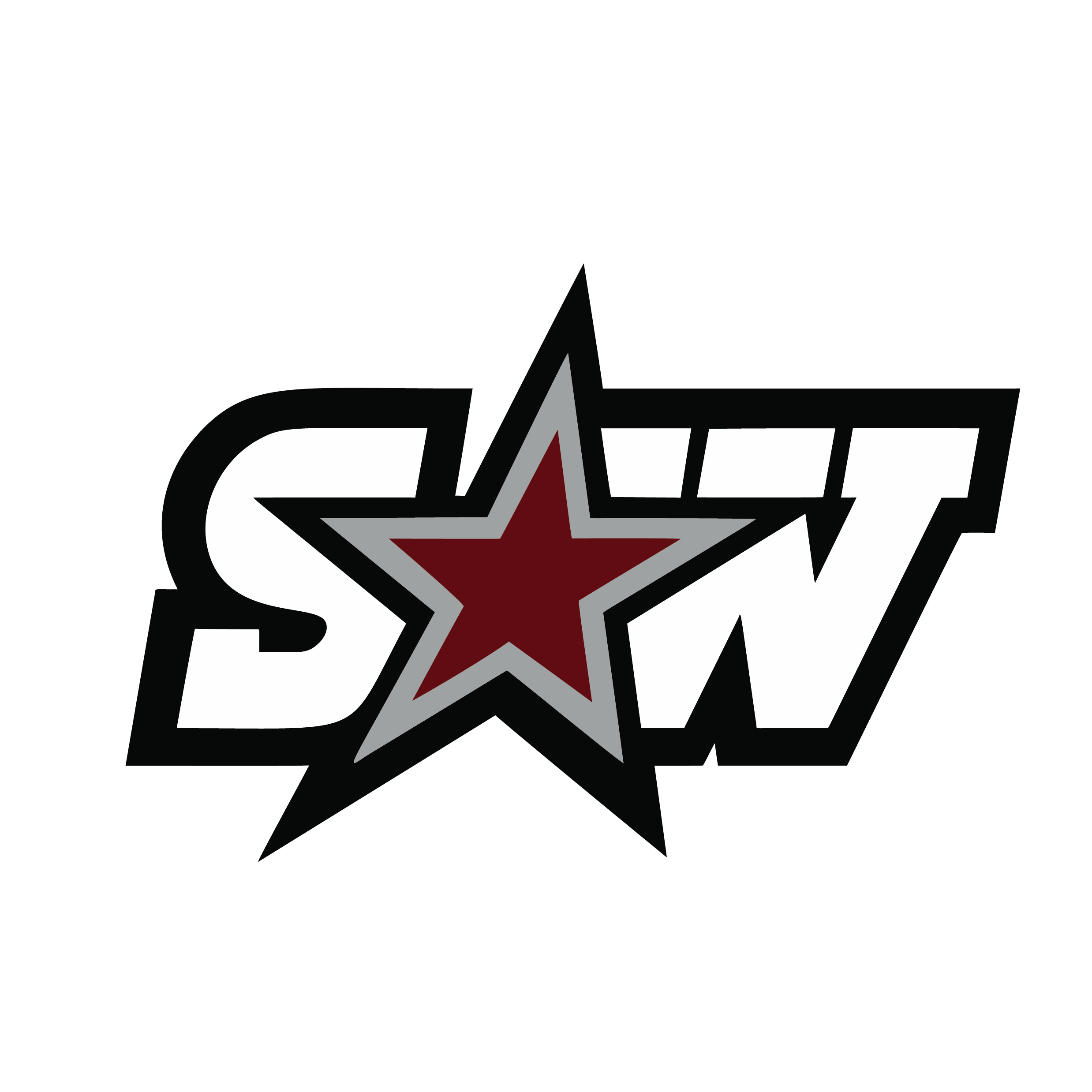 swchs logo