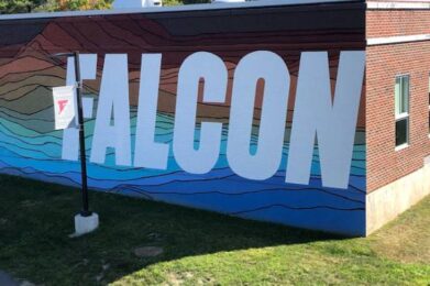 Falcon logo