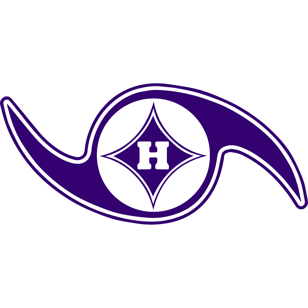 Hurricanes Logo