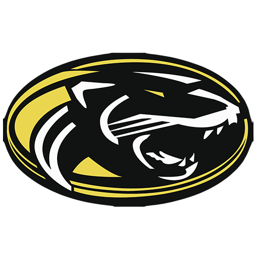 Panthers Logo