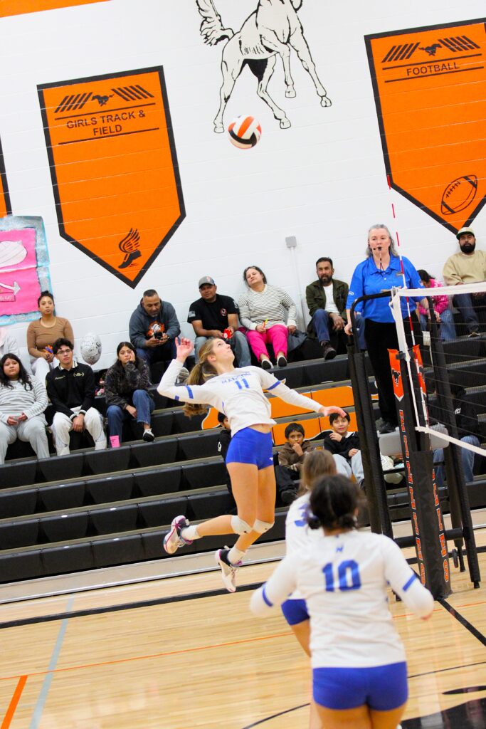 Vball 2