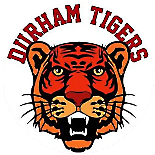 Tigers Logo