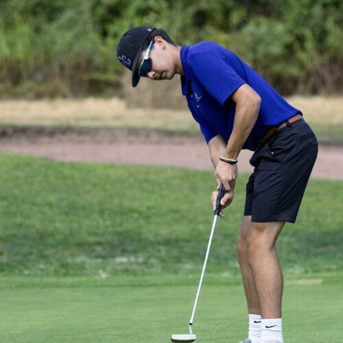 Golfer putting golf ball into the hole