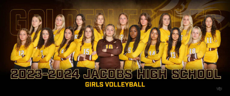 Volleyball Girls New Widget Jacobs High School Il