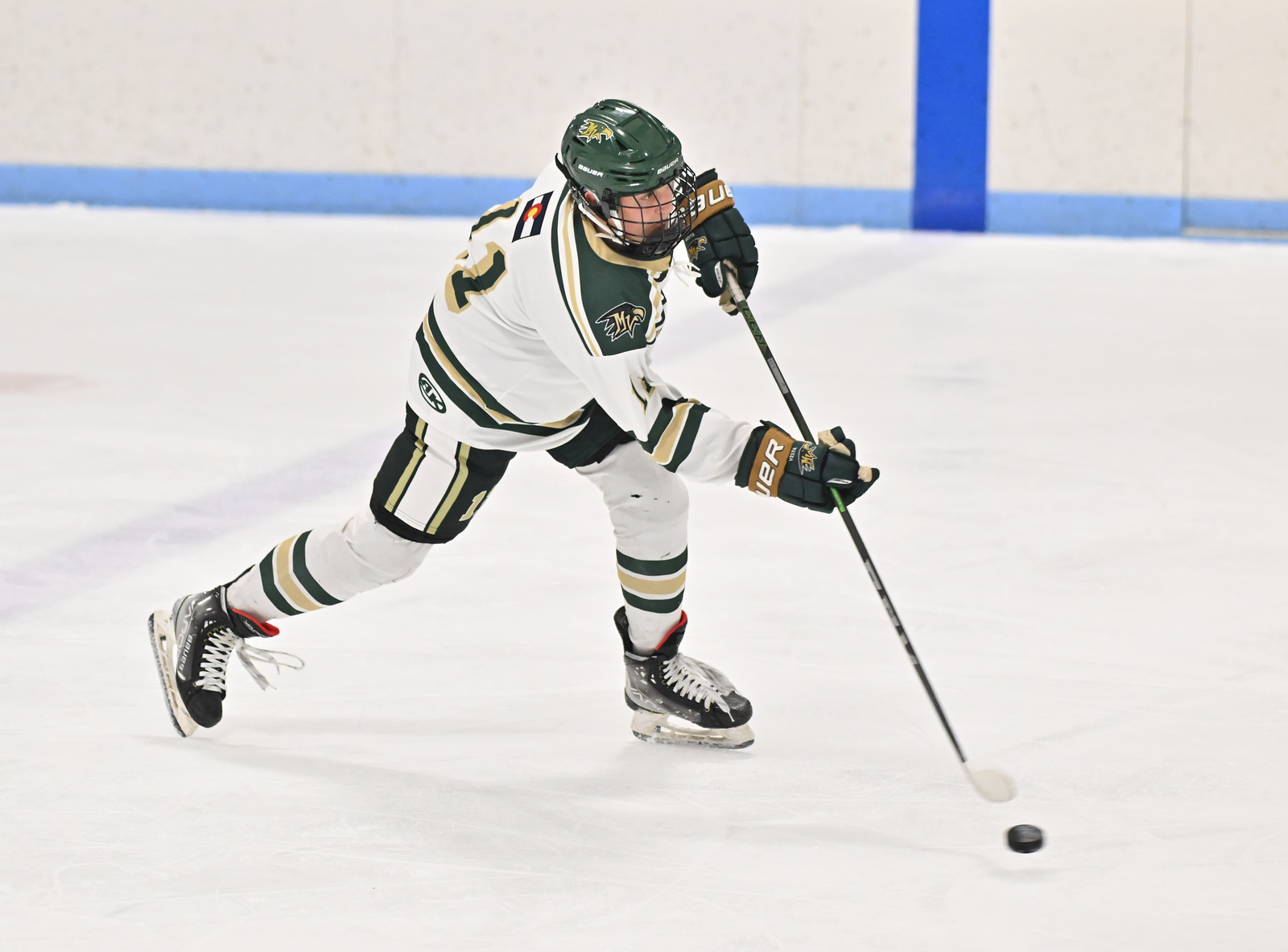 © Paul Shepardson, All Rights Reserved