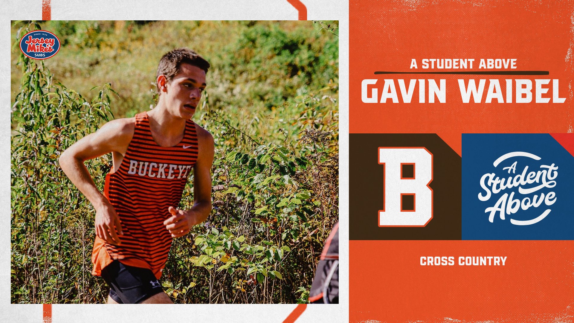 gavin