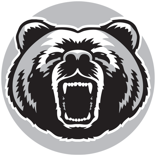 Bears logo