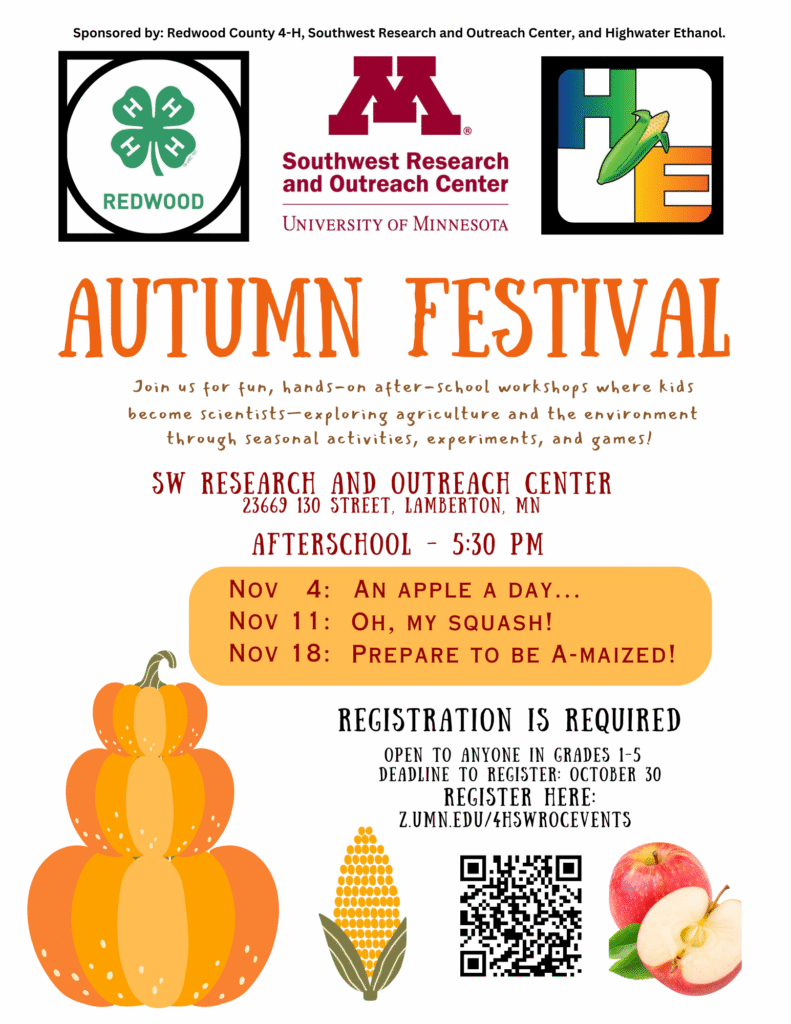 fall festival