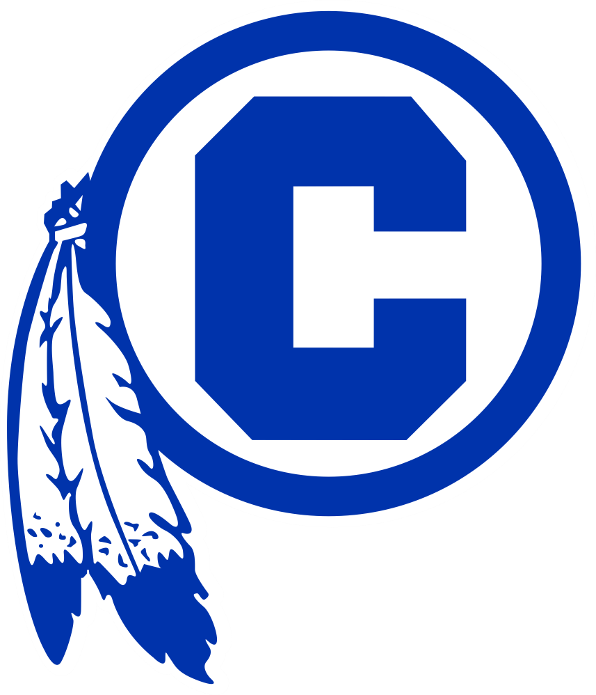 Central Circle with feathers logo